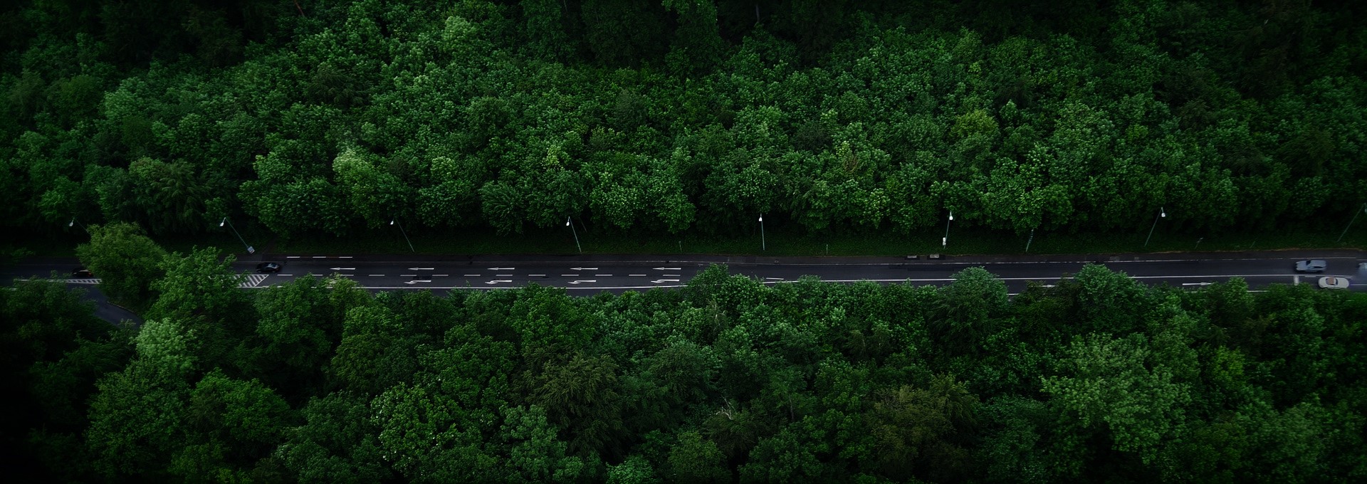 A highway winding through a lush green forest